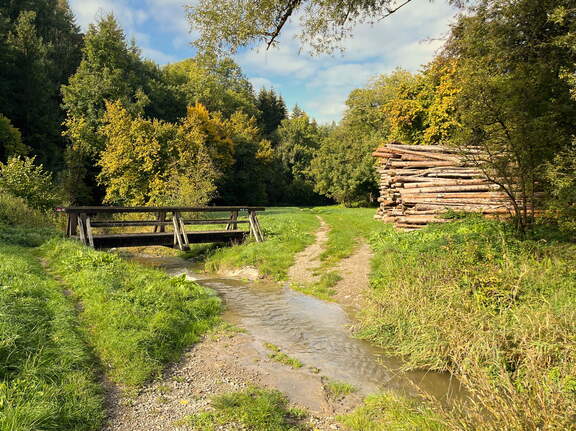 22-10-03 10-56-45 2193